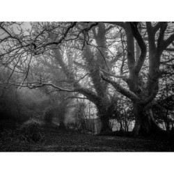 Gorgeous Bronze Bench fr-FR